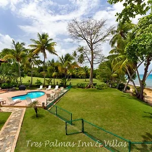 Tres Palmas And Puerto Rico