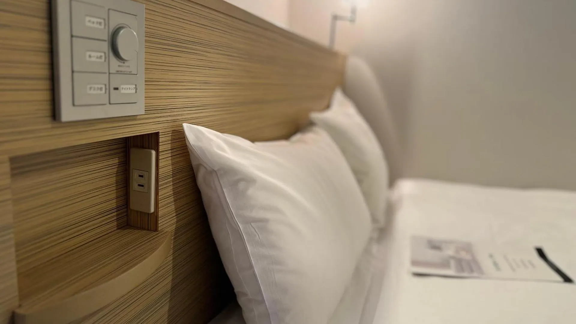 Sotetsu Fresa Inn Tokyo-Kyobashi 3*, Tokyo Japan